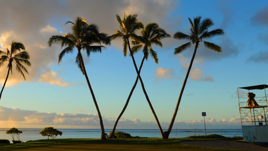 Waialae Country Club plays host to our Sony Open preview
